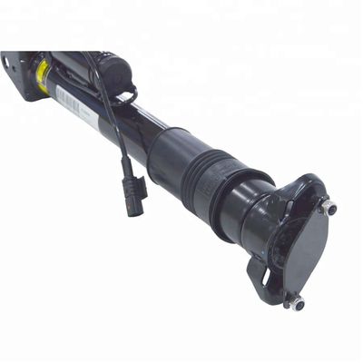 Classe arrière W251 V251 2513201931 de Mercedes Benz Air Struts R