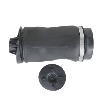 La suspension pneumatique arrière noire à ressort 2513200425 W251 R350 R500