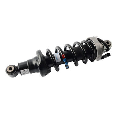 420512019AL Suspension arrière à air absorbeur de choc pour Audi R8 Air