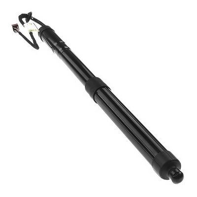 Porte arrière électrique Porte élévatrice électronique pour Santa Fe Sport LX45 817702W600