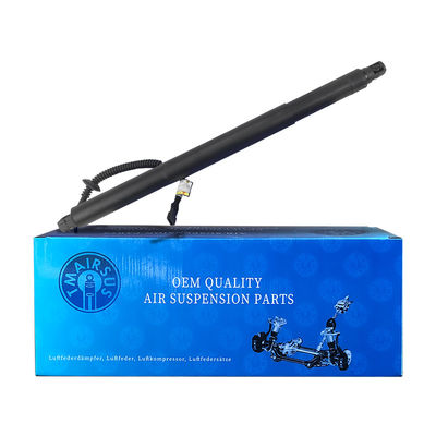 Résistance de la porte arrière 51247318651 pour BMW X6 F16 2015-2019 LH 1 prise