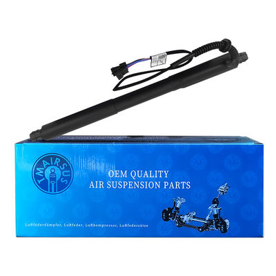 Port d'ascenseur de puissance arrière OEM pour BMW X5 E70 E70 LCI 2007-2013 LH OE 51247332695
