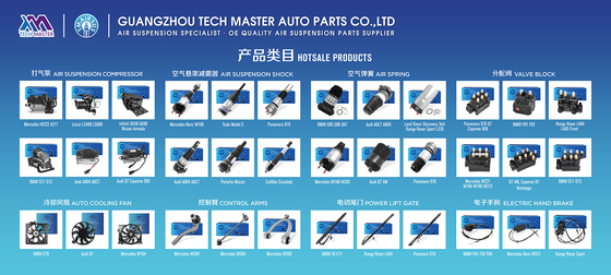 9J1616037 9J1616038 PAD616037 Audi Etron GT Porsche Taycan 2021- Suspension avant à air 2021-