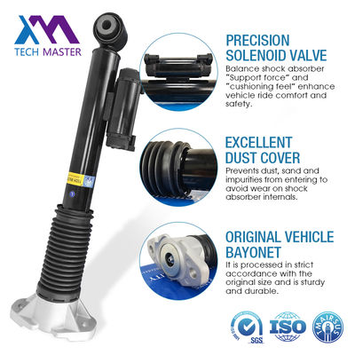 1673202301 1673202201 Amortisseur arrière électrique de pièces automobiles pour Mercedes GLS GLE-Class W167