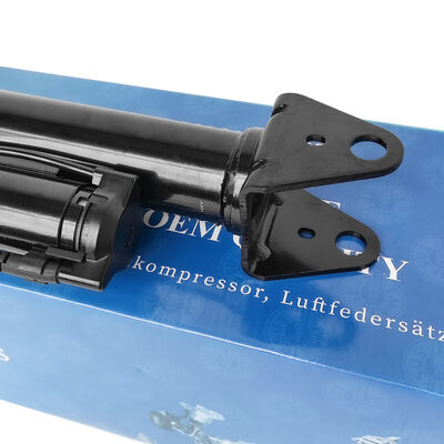 Système de gestion de la suspension pneumatique avec amortisseurs pneumatiques Ben-Z W251/R300