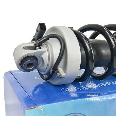 À gauche avant avec une suspension pneumatique pour le véhicule au-di R8 420412019AG