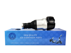 TMAIRSUS Fontaine à air arrière pour Mercedes-Benz W222 V222 X222 2223200413