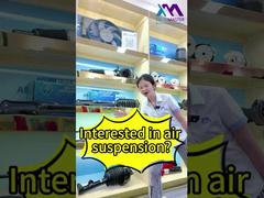 Tech Master = Votre source professionnelle d'usine d'amortisseurs de suspension pneumatique