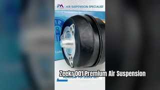 Amortisseurs à suspension pneumatique Tech Master TMAIRSUS pour Zeekr 001